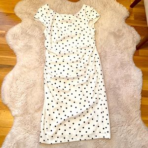 Adrianna Papell Polka Dot Dress Size 14